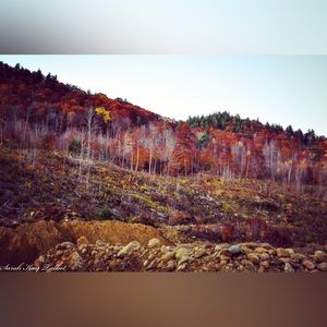 Capture :) My photos I took and I’m selling